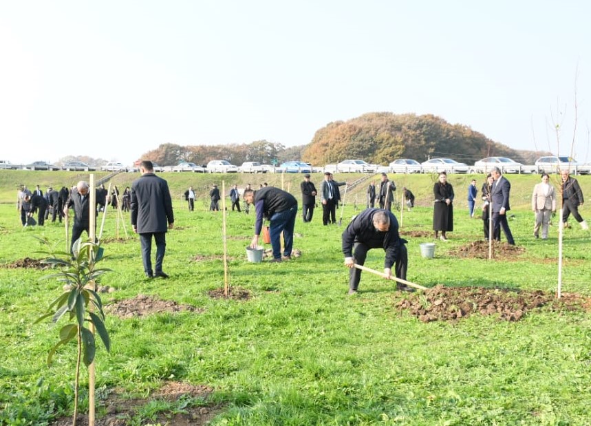 WhatsApp Şəkil 2025-12-02 saat 13.04.58_914b6669.jpg