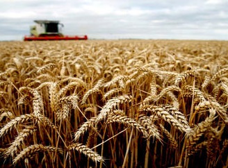 WhatsApp Şəkil 2025-06-12 saat 19.27.13_a67f379b.jpg