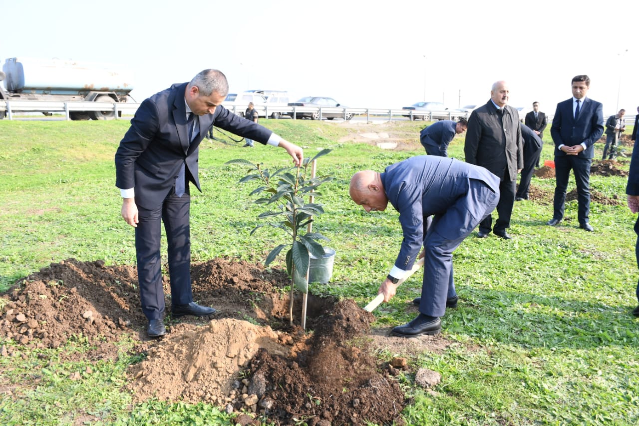 WhatsApp Şəkil 2025-12-02 saat 13.04.42_fd24c02a.jpg