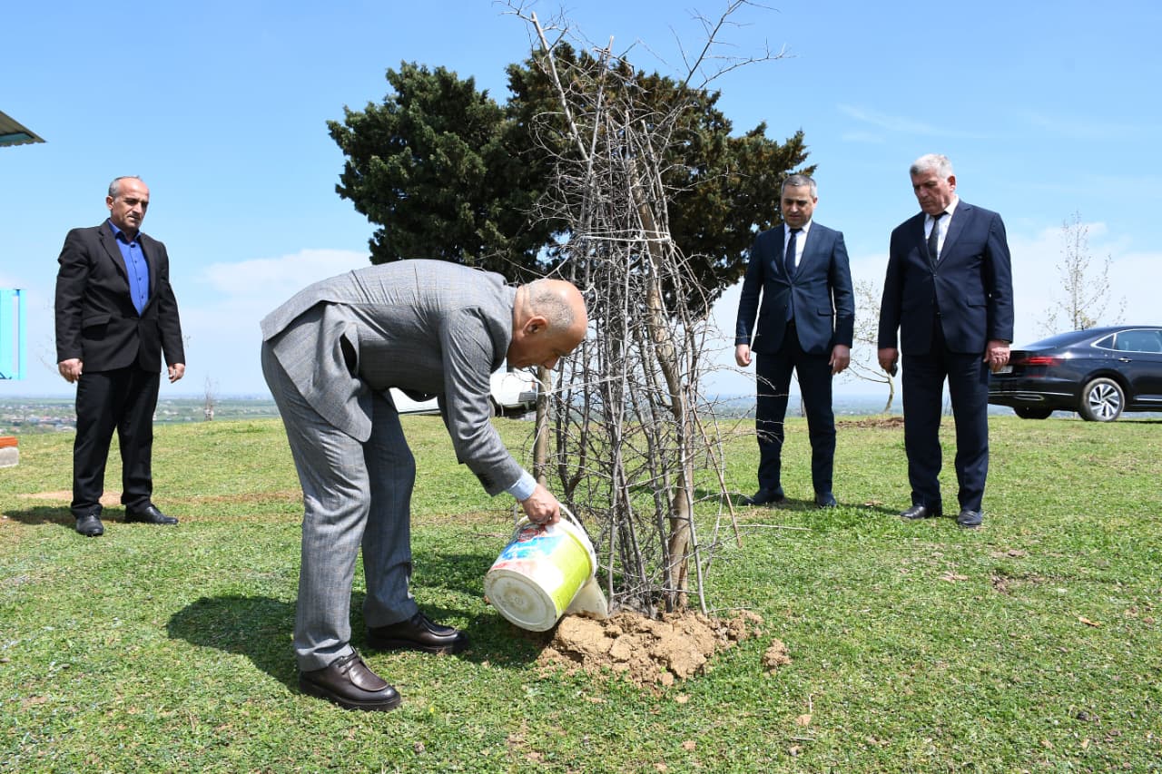 WhatsApp Image 2026-04-07 at 17.49.24.jpeg