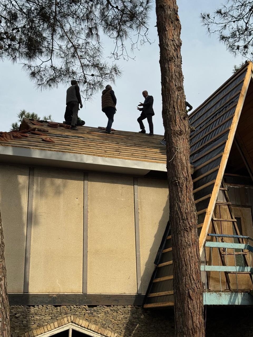 WhatsApp Image 2026-02-03 at 16.12.32 (1).jpeg