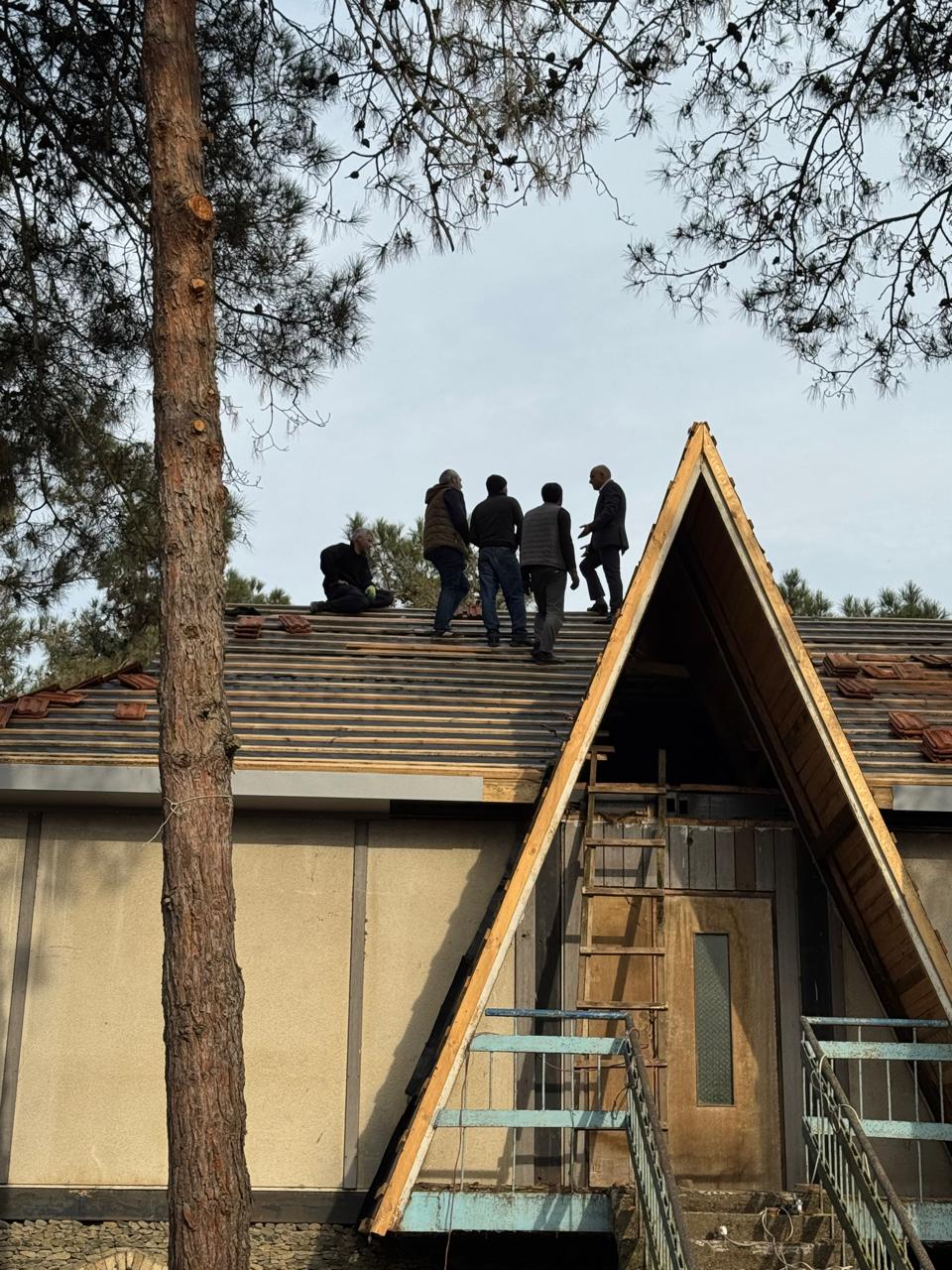 WhatsApp Image 2026-02-03 at 16.12.32 (3).jpeg