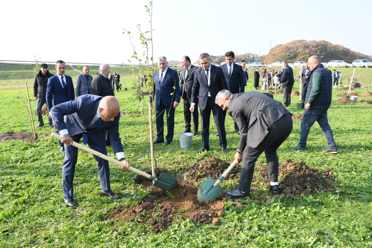 WhatsApp Şəkil 2025-12-02 saat 13.04.48_1326c620.jpg