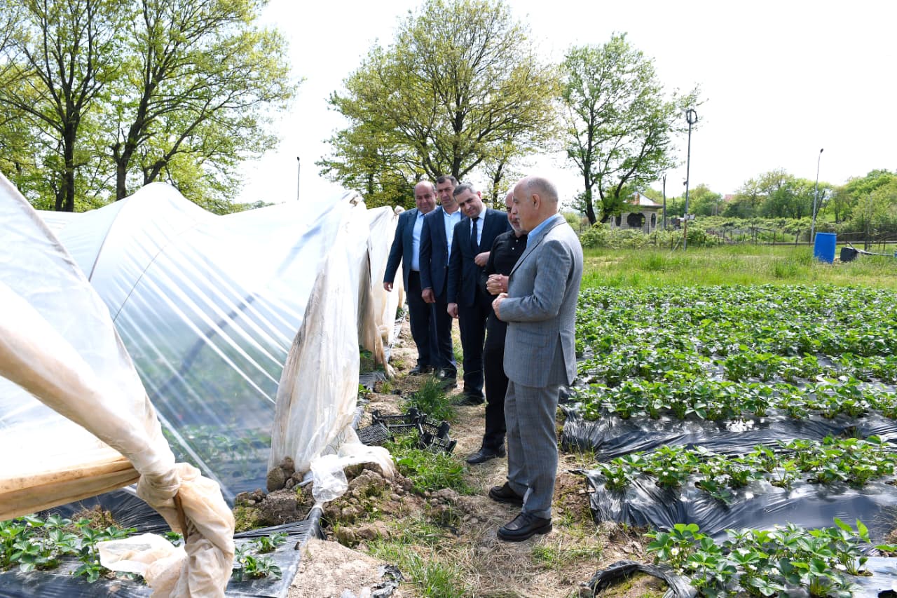 WhatsApp Image 2026-04-07 at 17.50.09.jpeg