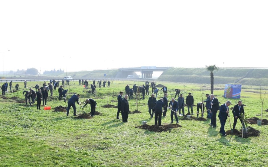 WhatsApp Şəkil 2025-12-02 saat 13.04.42_a5decbe7.jpg