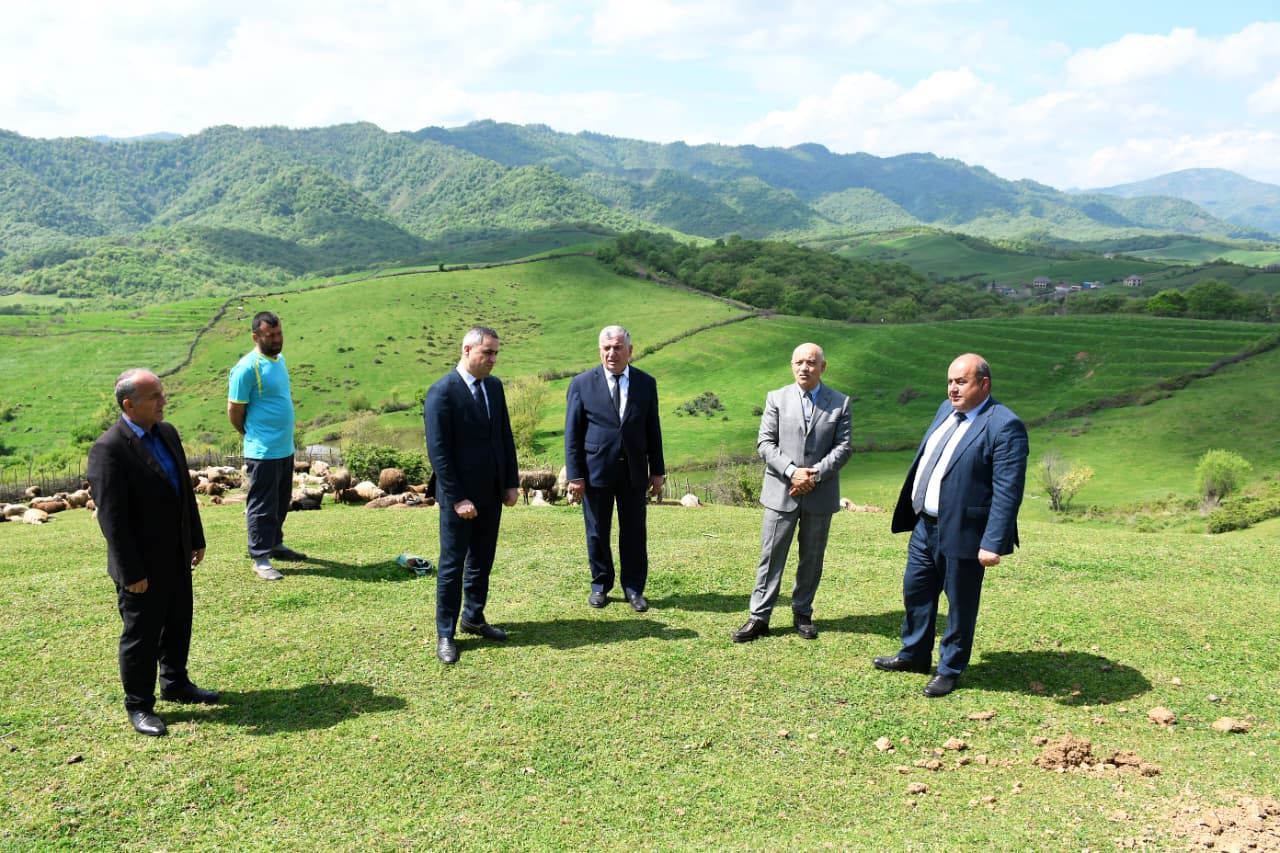 WhatsApp Image 2026-04-07 at 17.49.21.jpeg