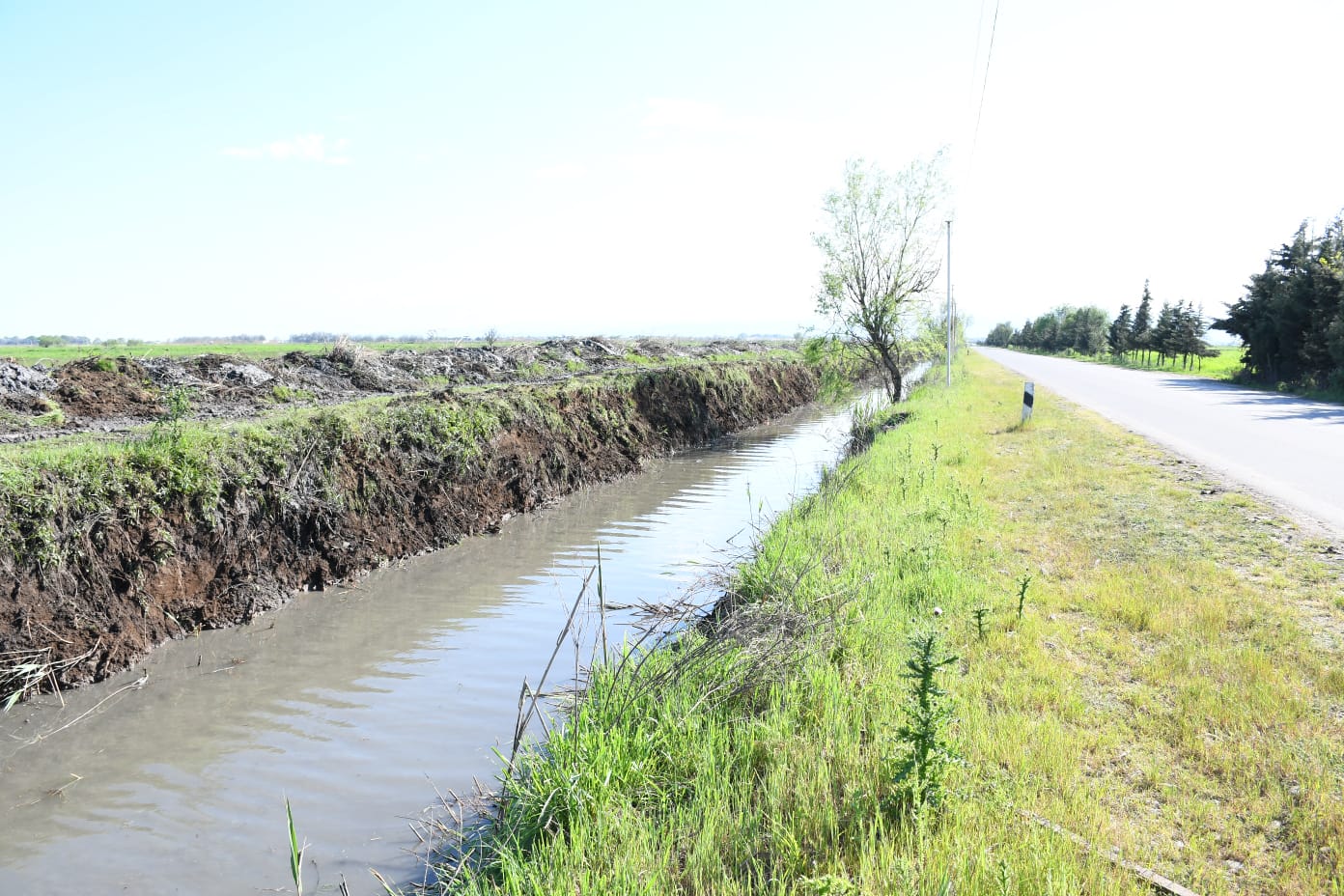 WhatsApp Image 2026-04-08 at 19.33.28.jpeg