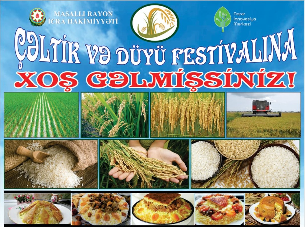 WhatsApp Şəkil 2025-09-23 saat 11.04.55_7bfe7493.jpg