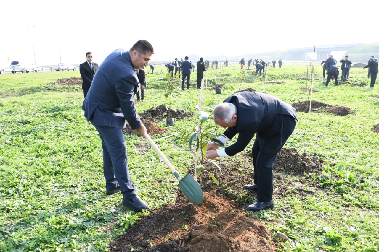 WhatsApp Şəkil 2025-12-02 saat 13.04.44_fa1df4da.jpg