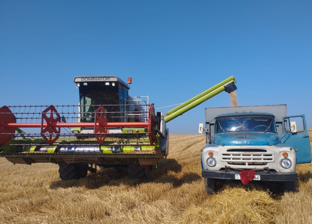 WhatsApp Şəkil 2025-06-12 saat 19.27.13_a67f379b.jpg