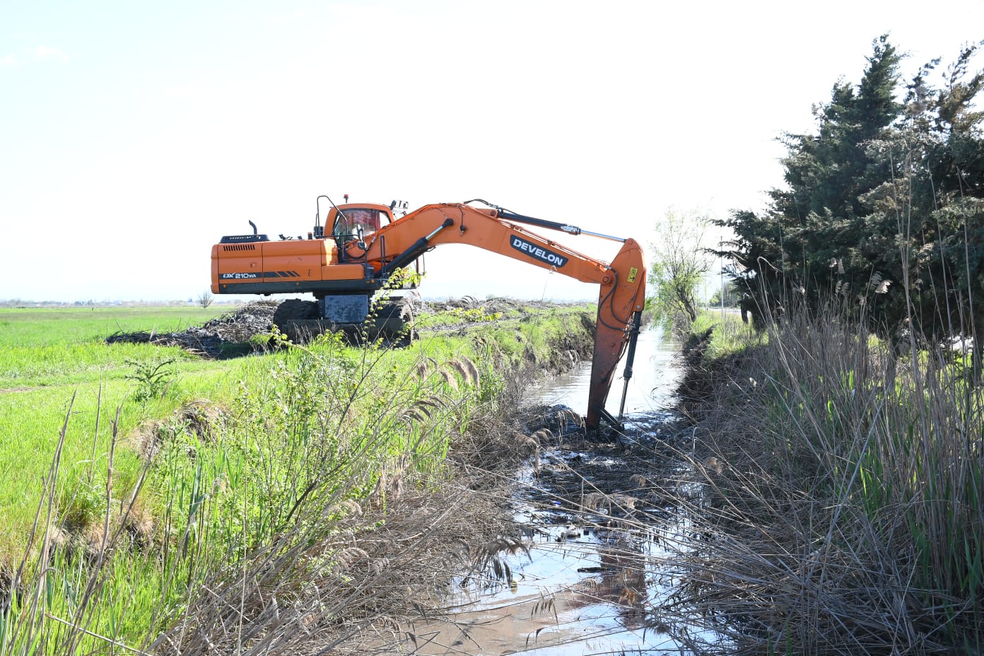 WhatsApp Image 2026-04-08 at 19.33.27.jpeg