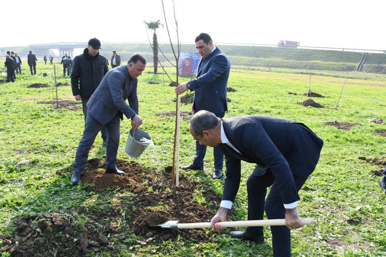 WhatsApp Şəkil 2025-12-02 saat 13.04.45_b7db0868.jpg