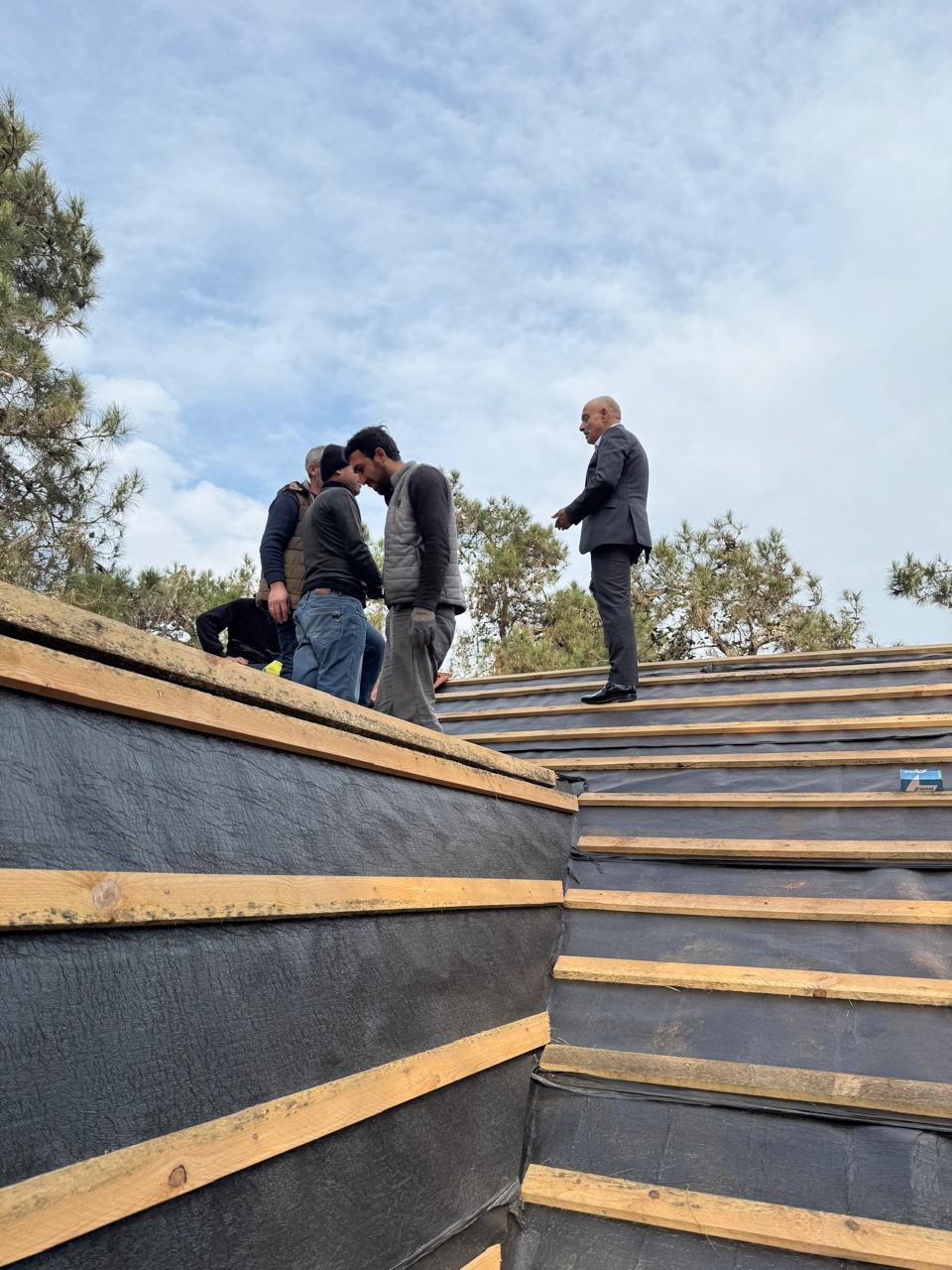 WhatsApp Image 2026-02-03 at 16.12.32.jpeg