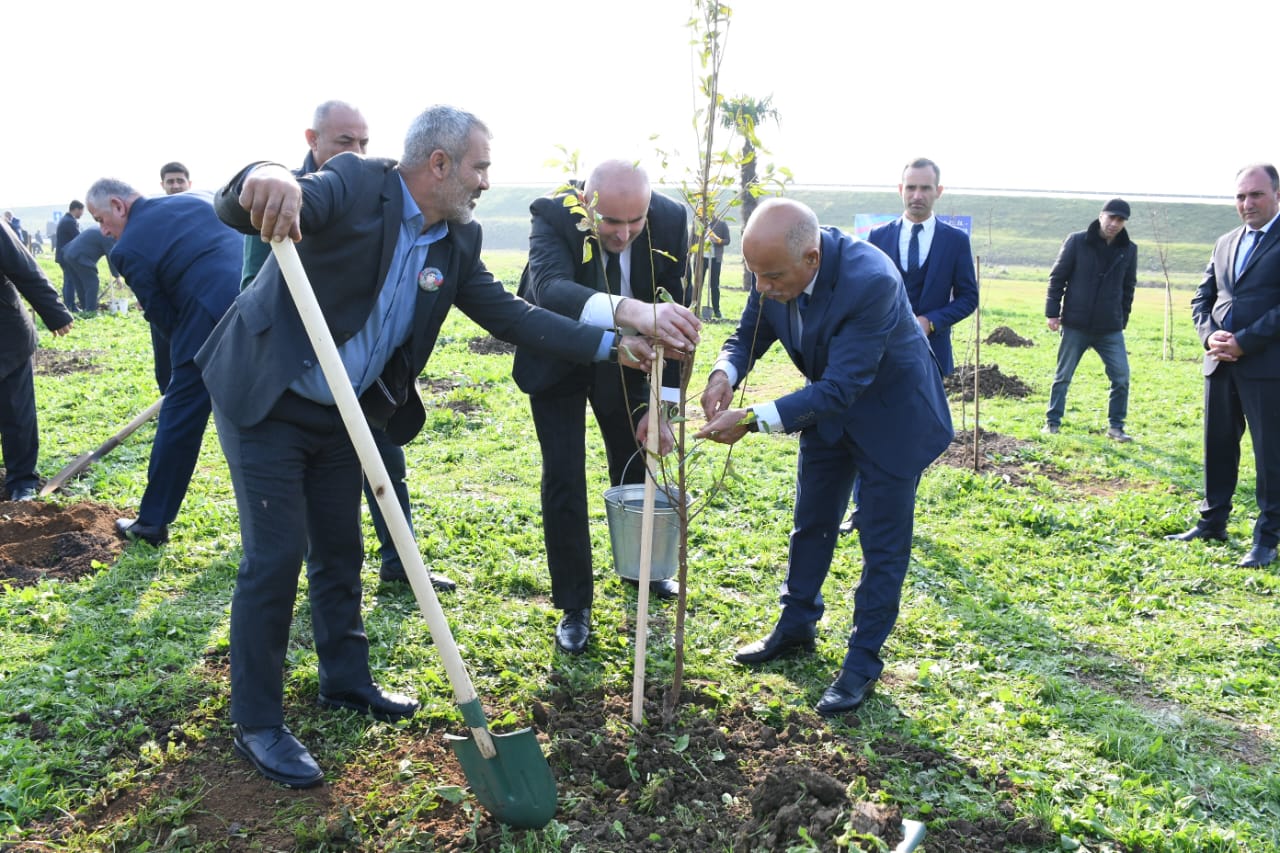 WhatsApp Şəkil 2025-12-02 saat 13.04.50_3cc518f6.jpg