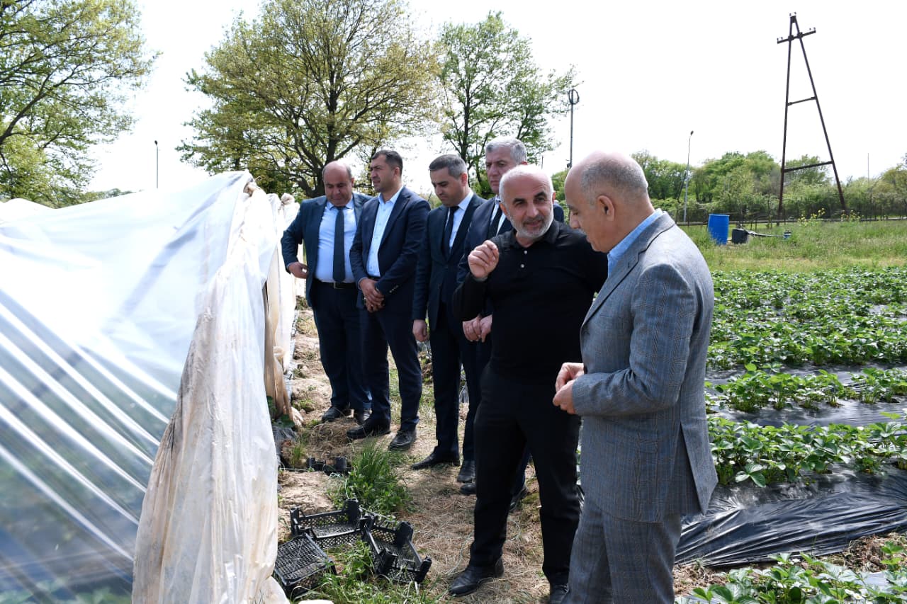 WhatsApp Image 2026-04-07 at 17.50.10.jpeg