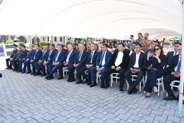 Masallıda “Çəltik və Düyü” festivalı