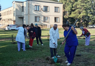 Masallıda idarə, müəssisə və təşkilatlarda ağacəkmə aksiyaları keçirdi