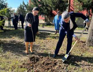 Masallıda idarə, müəssisə və təşkilatlarda ağacəkmə aksiyaları keçirdi