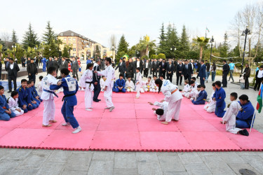 Masallı “Region idmançılarının I festivalı”na ev sahibliyi etdi