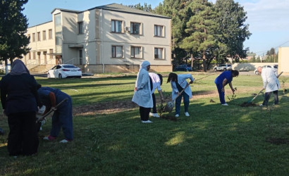 Masallıda idarə, müəssisə və təşkilatlarda ağacəkmə aksiyaları keçirdi