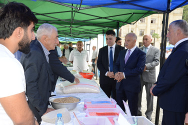 Masallıda toxum sərgi-satış yarmarkası və Respublika toxumçularının II formu keçirildi