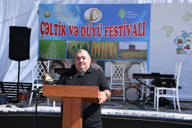 Masallıda “Çəltik və Düyü” festivalı