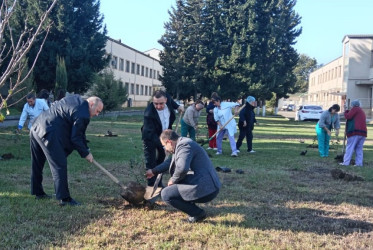 Masallıda idarə, müəssisə və təşkilatlarda ağacəkmə aksiyaları keçirdi