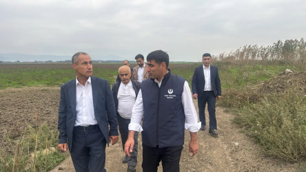 Masallıda heyvan sağlamlığının qorunması sahəsində görülmüş işlər və qarşıda duran vəzifələr müzakirə olundu