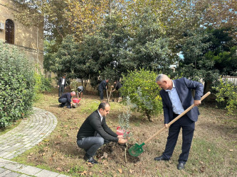 Masallıda idarə, müəssisə və təşkilatlarda ağacəkmə aksiyaları keçirdi