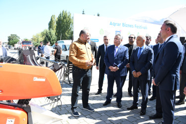 Masallıda “Çəltik və Düyü” festivalı