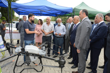 Masallıda toxum sərgi-satış yarmarkası və Respublika toxumçularının II formu keçirildi