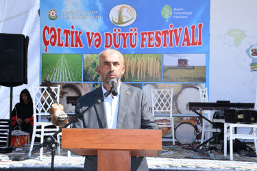 Masallıda “Çəltik və Düyü” festivalı
