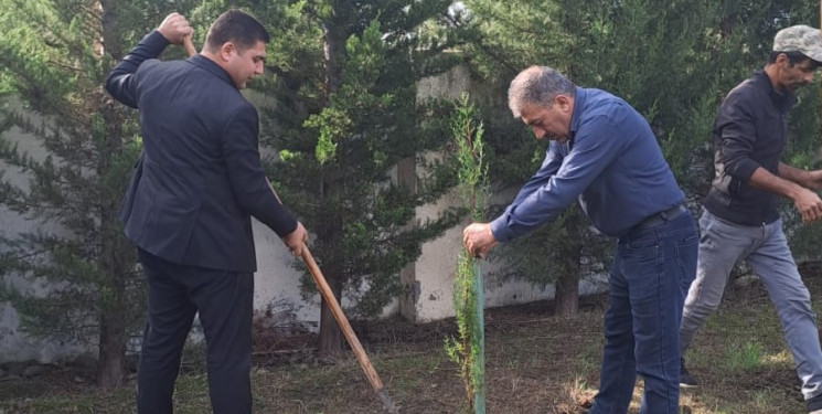 Masallıda idarə, müəssisə və təşkilatlarda ağacəkmə aksiyaları keçirdi