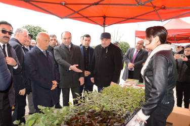 Masallı rayonunda «Aqrar biznes festivalı» keçirilib