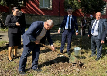 Masallıda idarə, müəssisə və təşkilatlarda ağacəkmə aksiyaları keçirdi