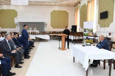 Masallıda “Tərəvəz və çəltik əkin sahələrində görülmüş işlər və qarşıda duran vəzifələr” mövzusunda müşavirə