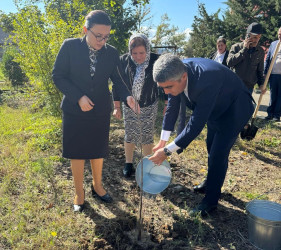 Masallıda idarə, müəssisə və təşkilatlarda ağacəkmə aksiyaları keçirdi