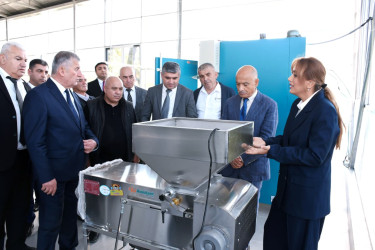 Masallıda “Sitrus, çay və çiyələk əkini ilə bağlı görülmüş işlər və qarşıda duran vəzifələr” mövzusunda rayon müşavirəsi