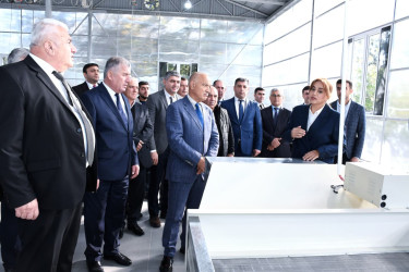 Masallıda “Sitrus, çay və çiyələk əkini ilə bağlı görülmüş işlər və qarşıda duran vəzifələr” mövzusunda rayon müşavirəsi